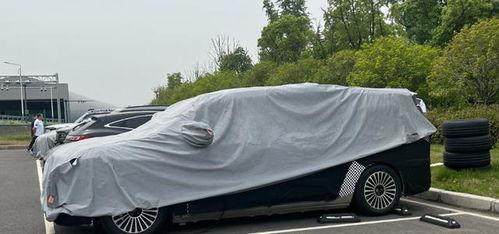 国产一级c爱,探寻中国电影中的爱情魅力